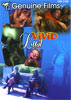 Vivid Lust