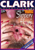 Slippery Hours